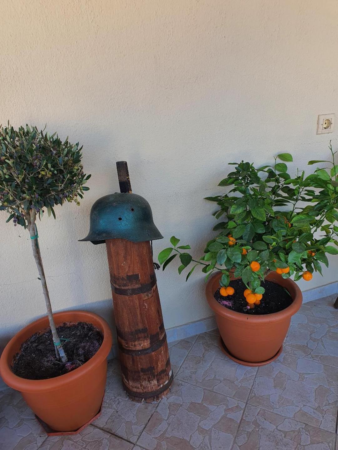 Alexandros Guesthouse Órma エクステリア 写真
